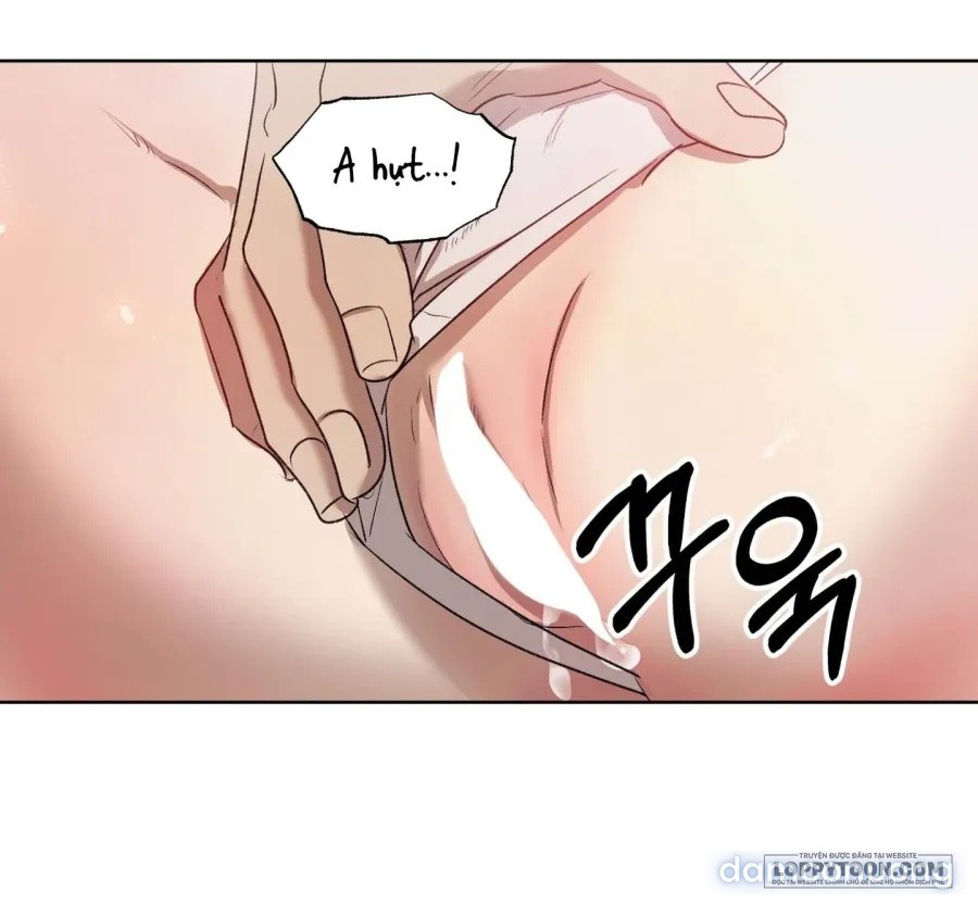 Mùa Hè Năm Ấy, Tựa Như Hoa Dại 