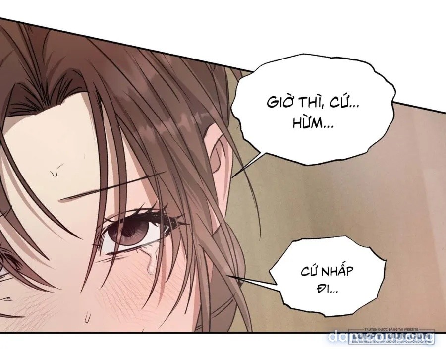 Mùa Hè Năm Ấy, Tựa Như Hoa Dại 