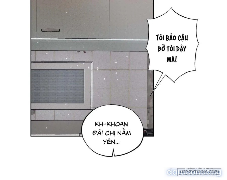 Mùa Hè Năm Ấy, Tựa Như Hoa Dại 