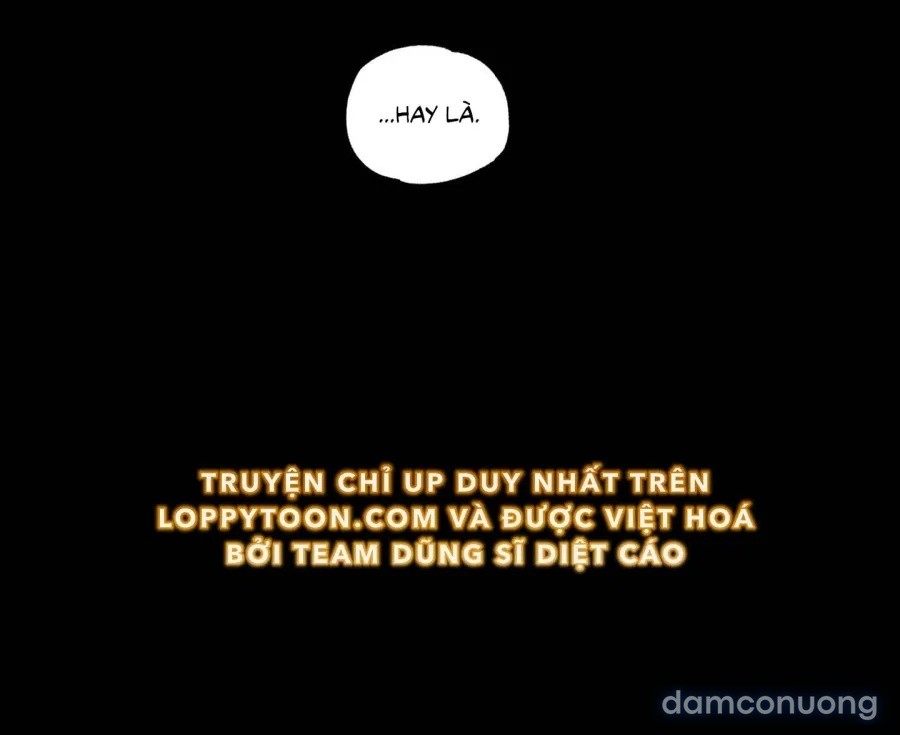 Mùa Hè Năm Ấy, Tựa Như Hoa Dại 