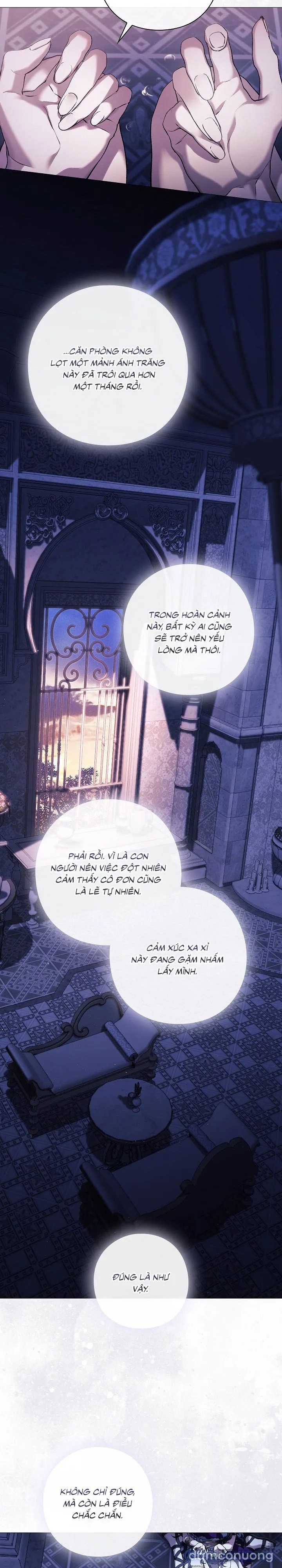 Dành Cho Các Nữ Thần : Dành Cho Daphne 