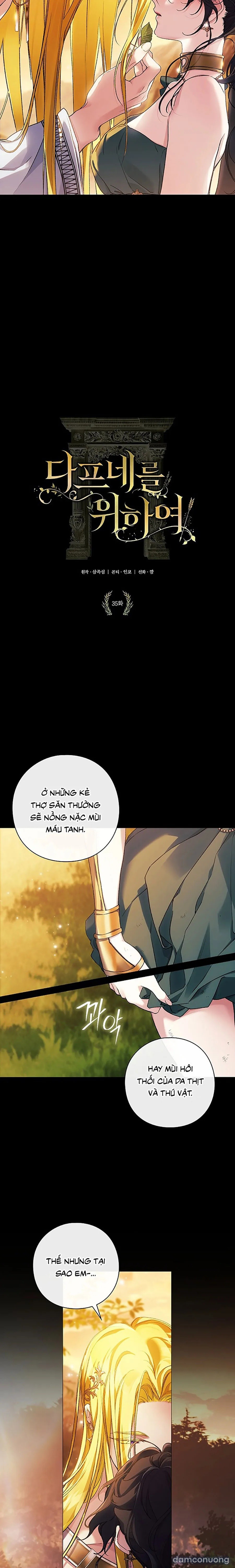 Dành Cho Các Nữ Thần : Dành Cho Daphne 