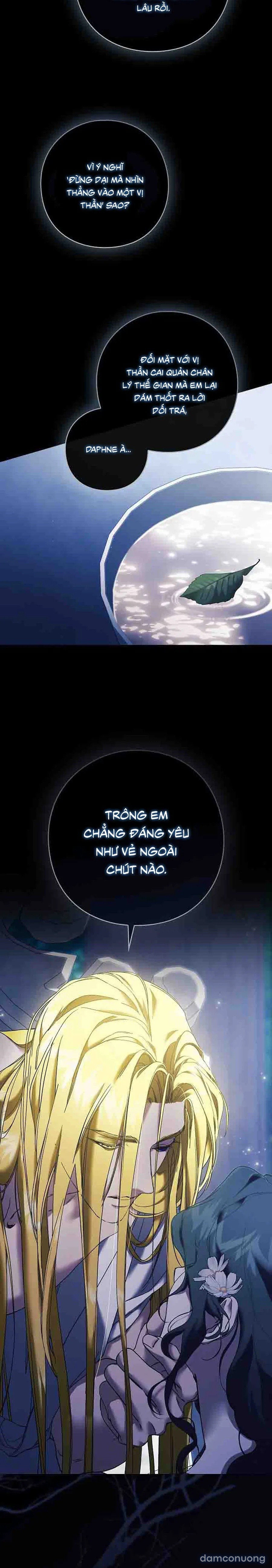 Dành Cho Các Nữ Thần : Dành Cho Daphne 