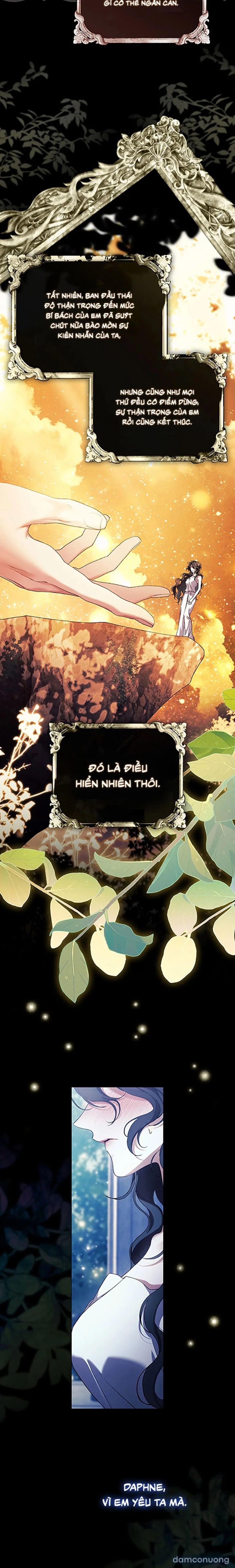 Dành Cho Các Nữ Thần : Dành Cho Daphne 