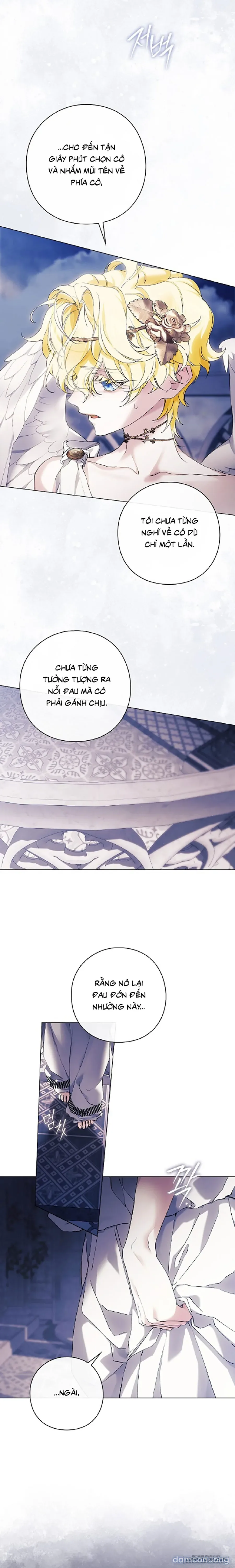 Dành Cho Các Nữ Thần : Dành Cho Daphne 