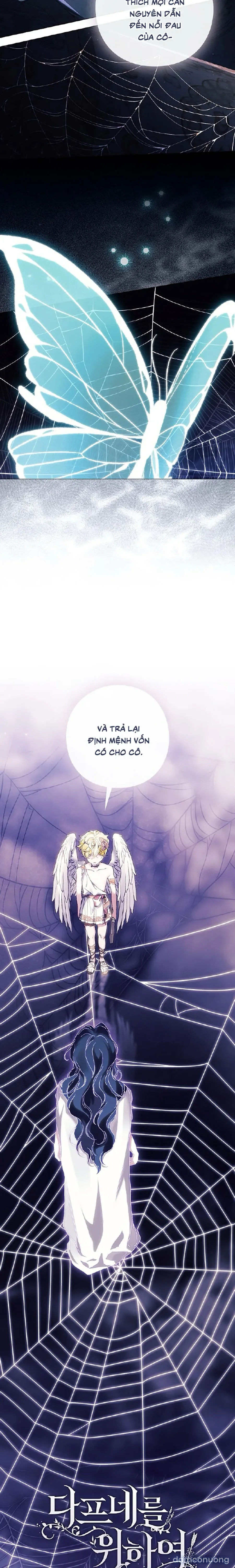 Dành Cho Các Nữ Thần : Dành Cho Daphne 