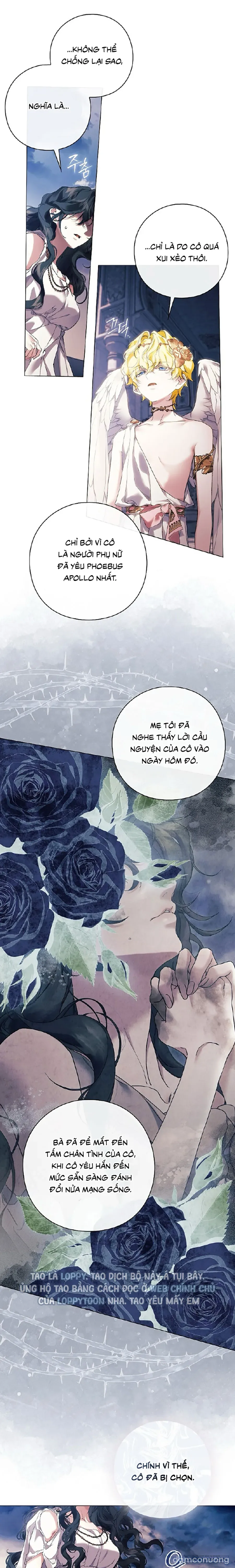 Dành Cho Các Nữ Thần : Dành Cho Daphne 