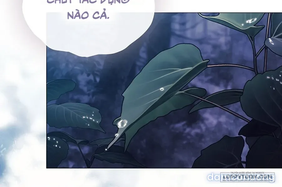 Dành Cho Các Nữ Thần : Dành Cho Daphne 