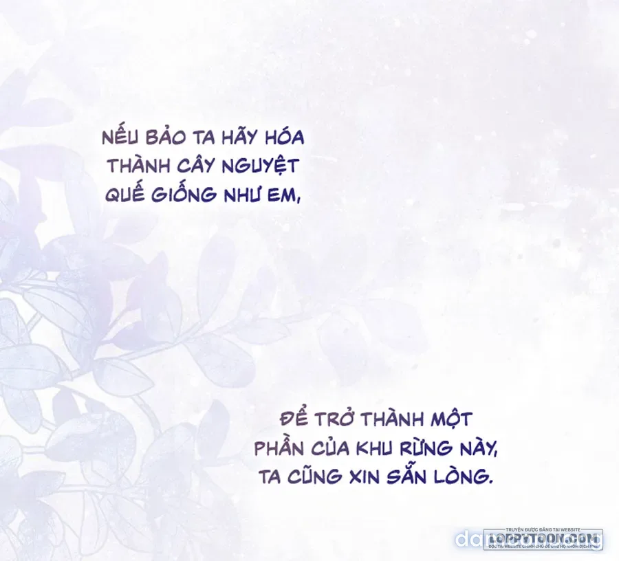 Dành Cho Các Nữ Thần : Dành Cho Daphne 