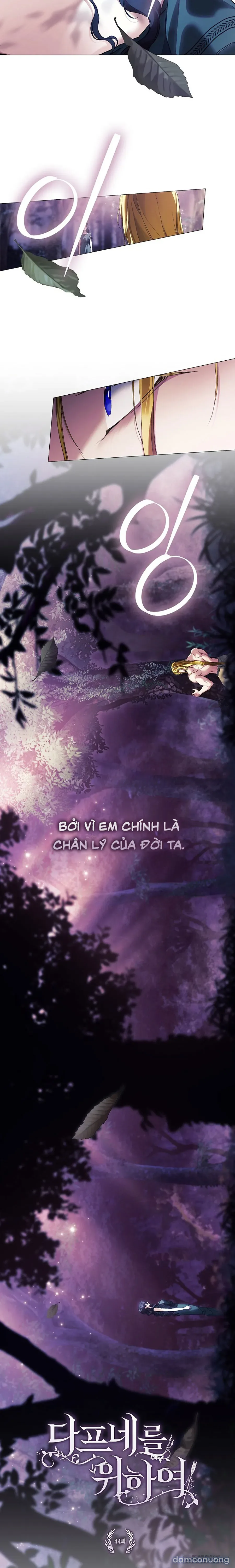 Dành Cho Các Nữ Thần : Dành Cho Daphne 