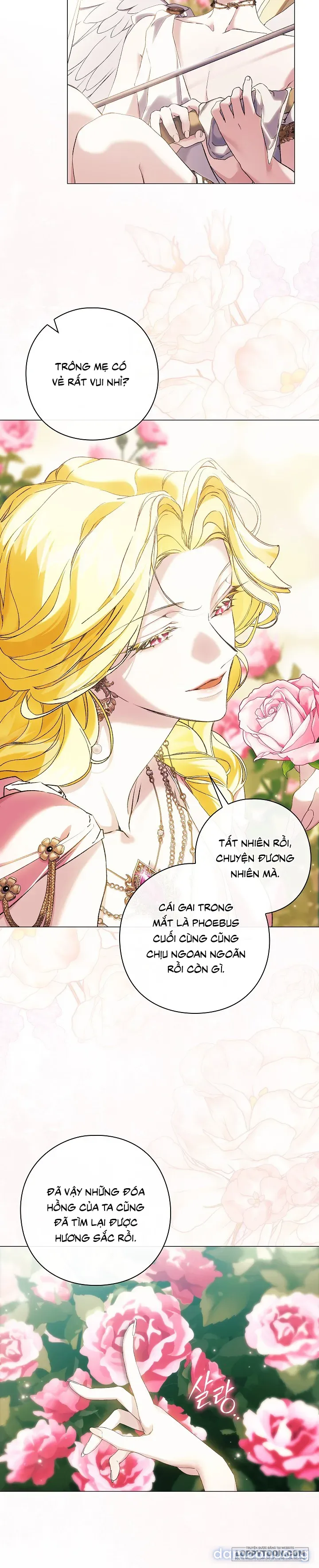 Dành Cho Các Nữ Thần : Dành Cho Daphne 