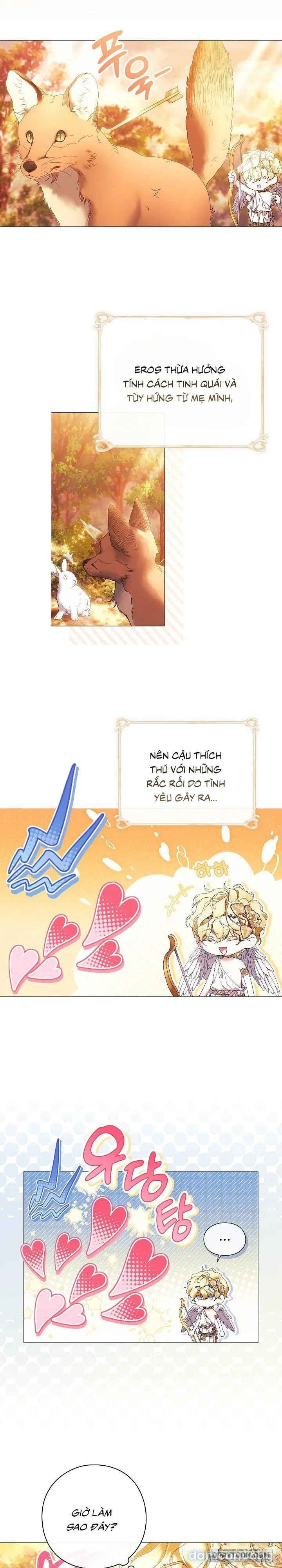 Dành Cho Các Nữ Thần : Dành Cho Daphne 