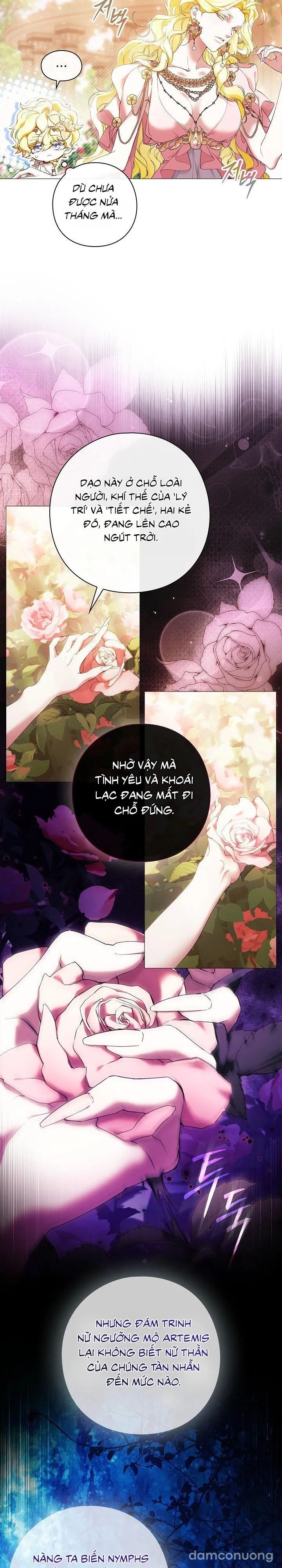 Dành Cho Các Nữ Thần : Dành Cho Daphne 