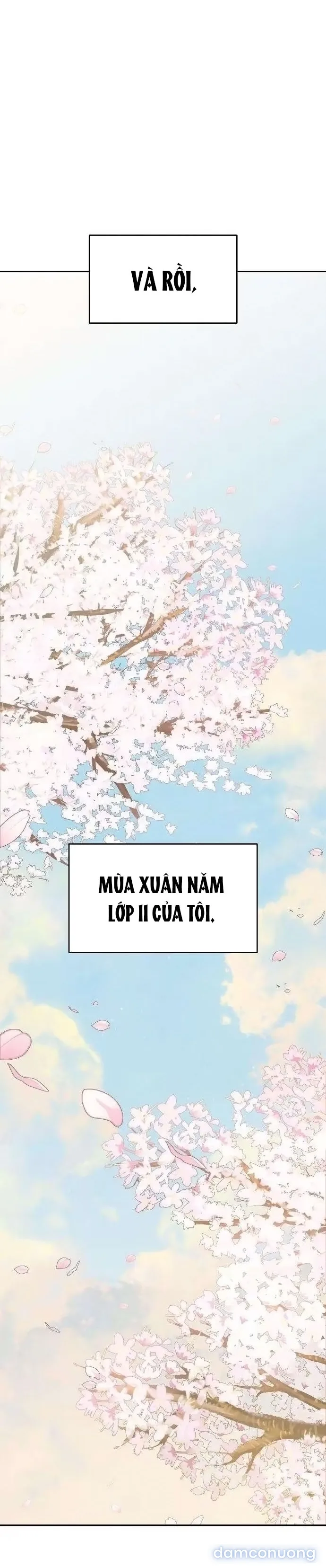 Nguyên Tắc Của Serim 