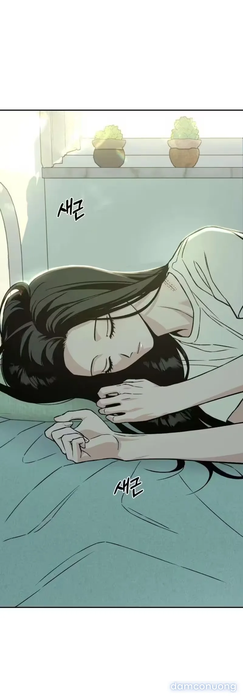 Nguyên Tắc Của Serim 