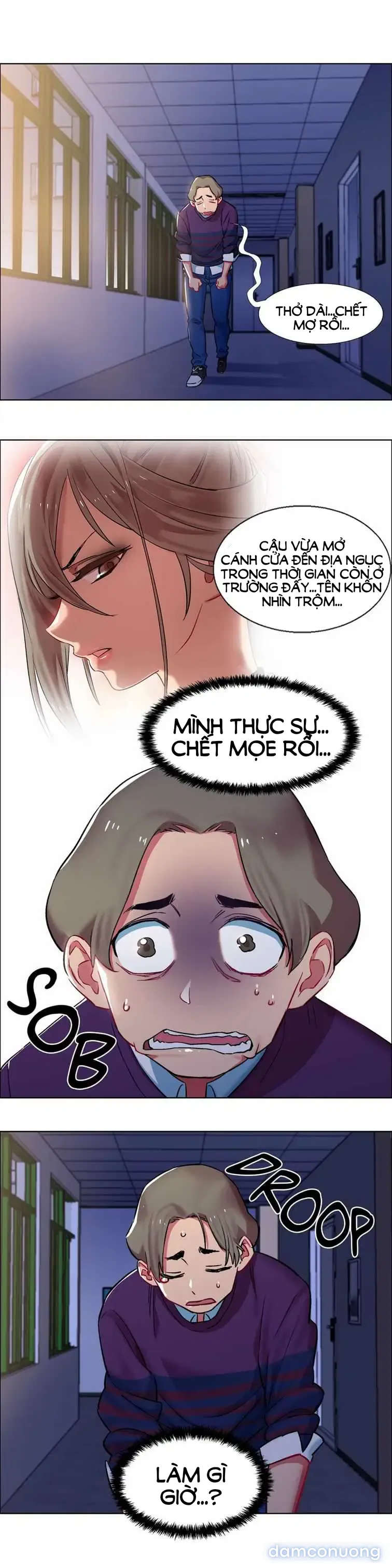 Cửa hàng cho thuê phim sex 