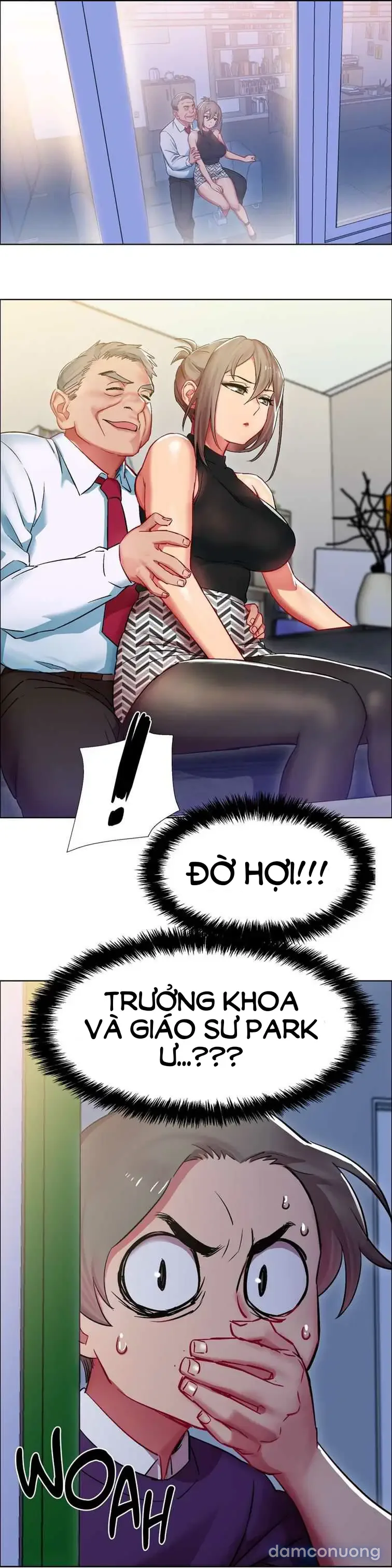 Cửa hàng cho thuê phim sex 
