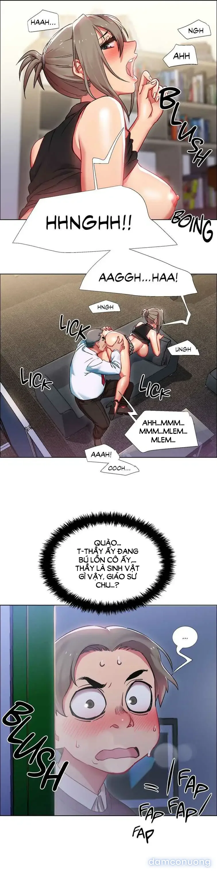 Cửa hàng cho thuê phim sex 
