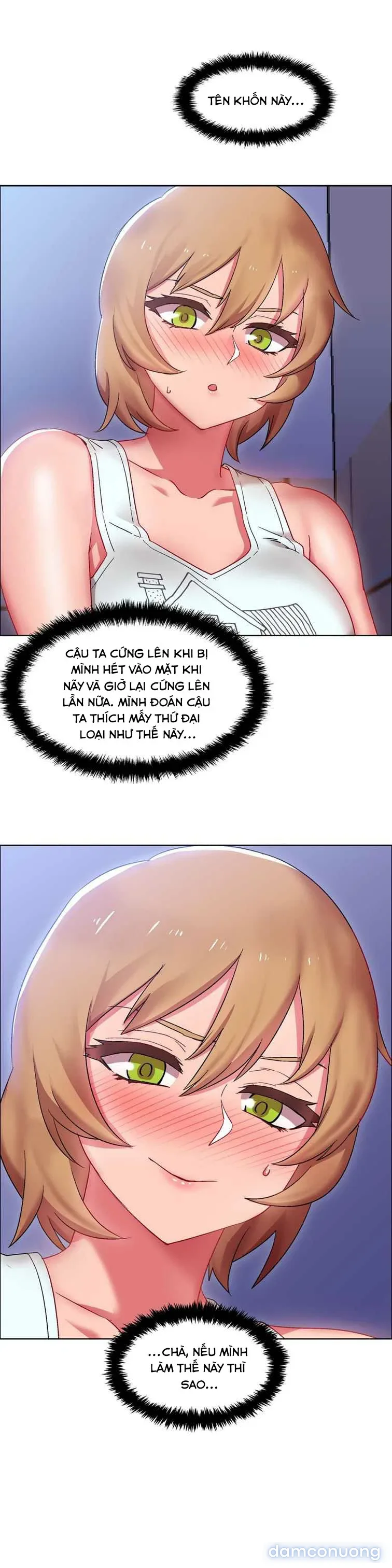 Cửa hàng cho thuê phim sex 