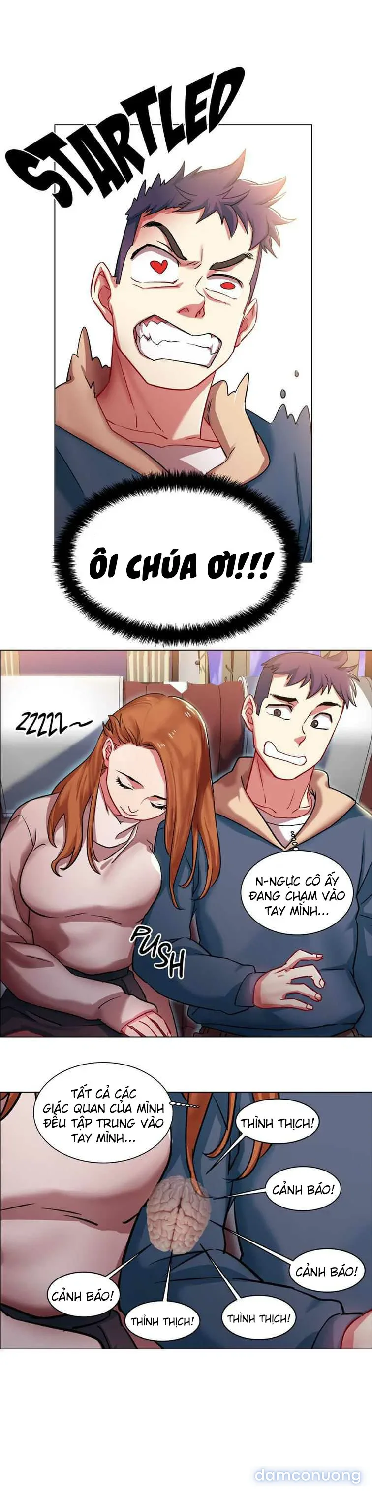 Cửa hàng cho thuê phim sex 