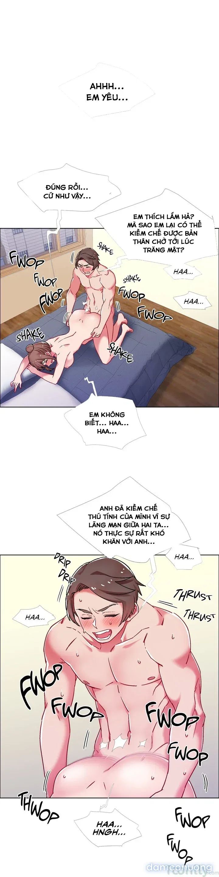 Cửa hàng cho thuê phim sex 