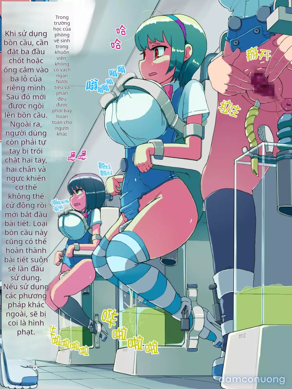 Học viện Tư nhân dành cho Búp bê Tình dục Người thật 