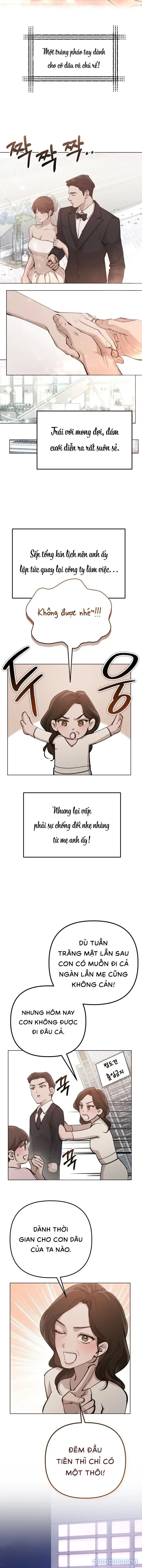 Người Vợ Trẻ Và Hành Vi Xấu Xa 