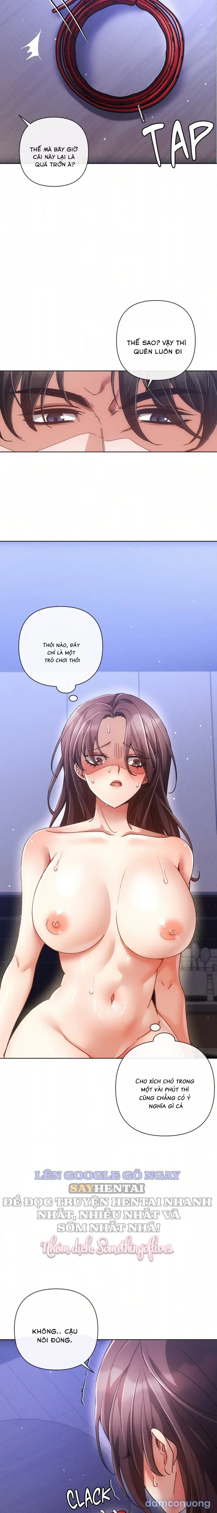 Nghiệt Ngã Dịu Êm 
