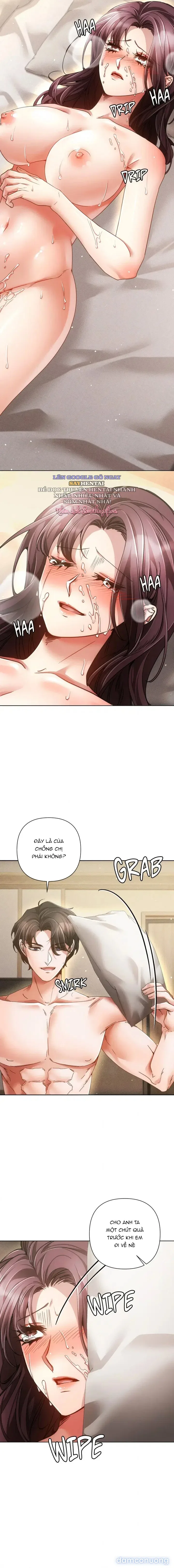 Nghiệt Ngã Dịu Êm 