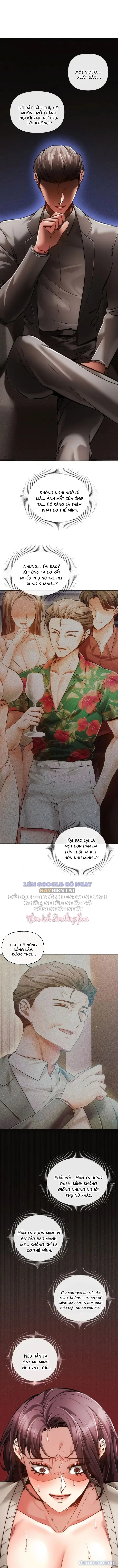 Nghiệt Ngã Dịu Êm 