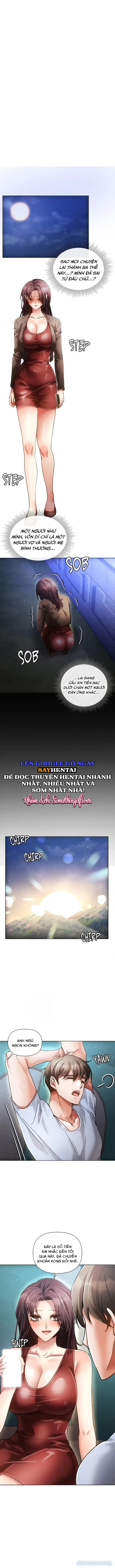 Nghiệt Ngã Dịu Êm 