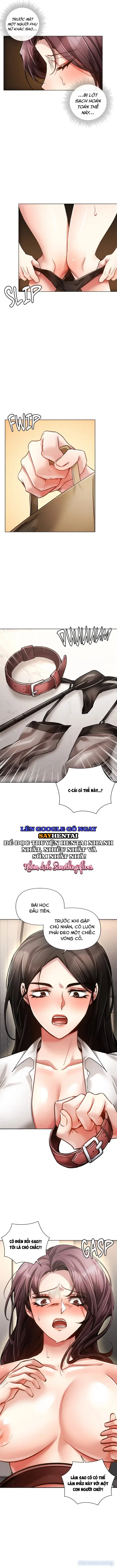 Nghiệt Ngã Dịu Êm 
