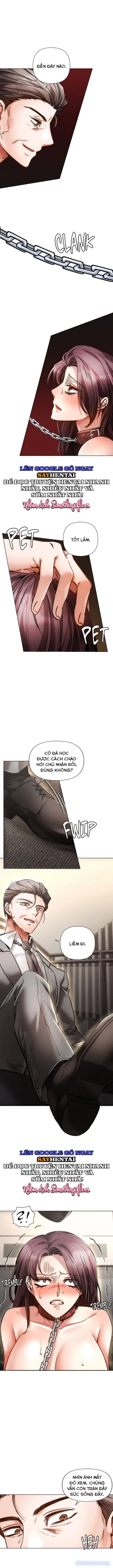 Nghiệt Ngã Dịu Êm 