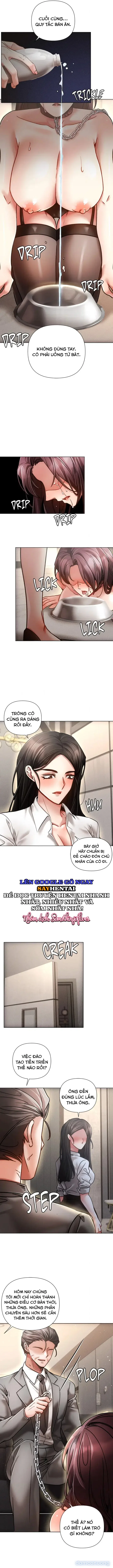 Nghiệt Ngã Dịu Êm 