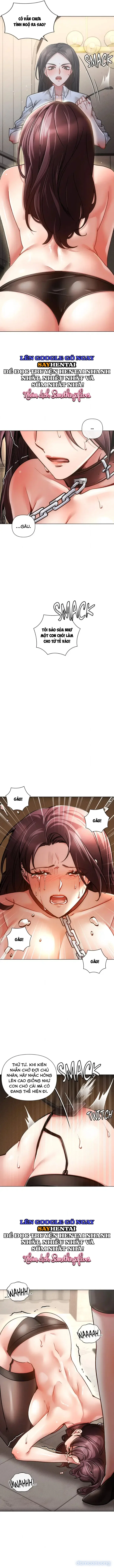 Nghiệt Ngã Dịu Êm 