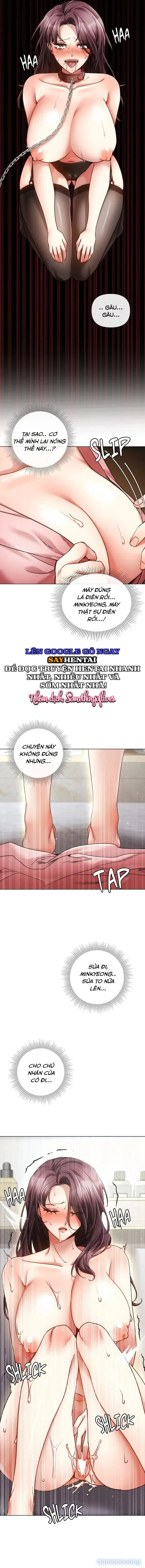 Nghiệt Ngã Dịu Êm 