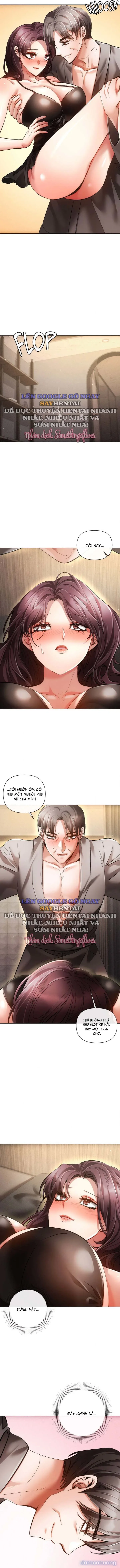Nghiệt Ngã Dịu Êm 