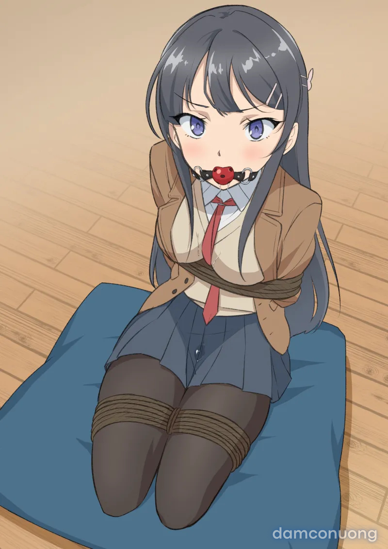 Seishun Buta Yarou wa Bunny Girl Senpai wo Shibatte mitai 