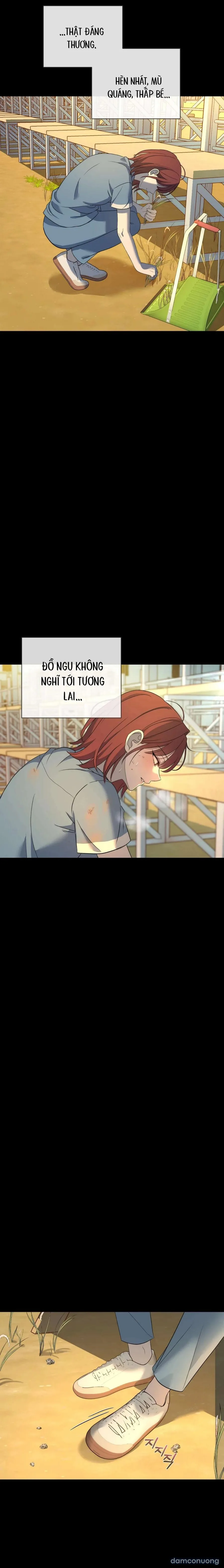 Tình Yêu Méo Mó 