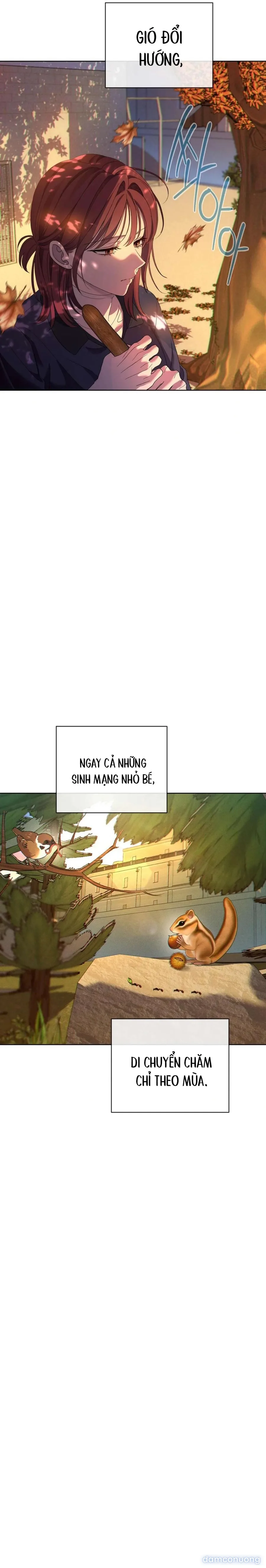 Tình Yêu Méo Mó 