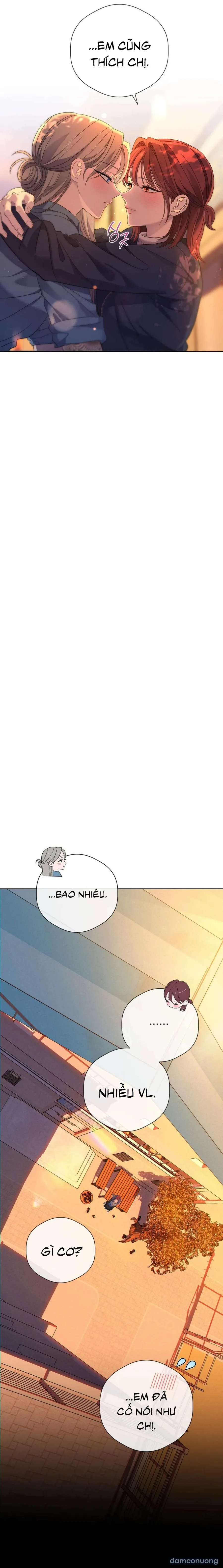 Tình Yêu Méo Mó 