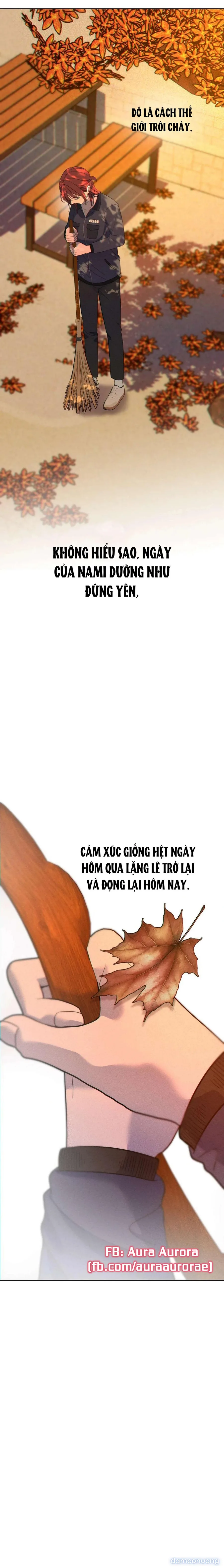 Tình Yêu Méo Mó 