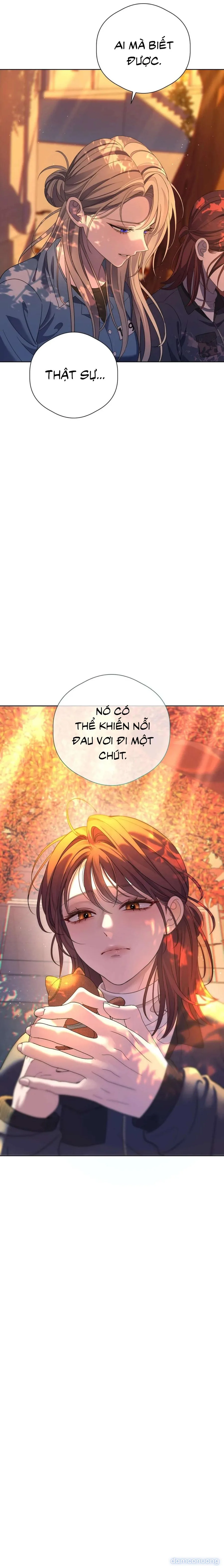 Tình Yêu Méo Mó 