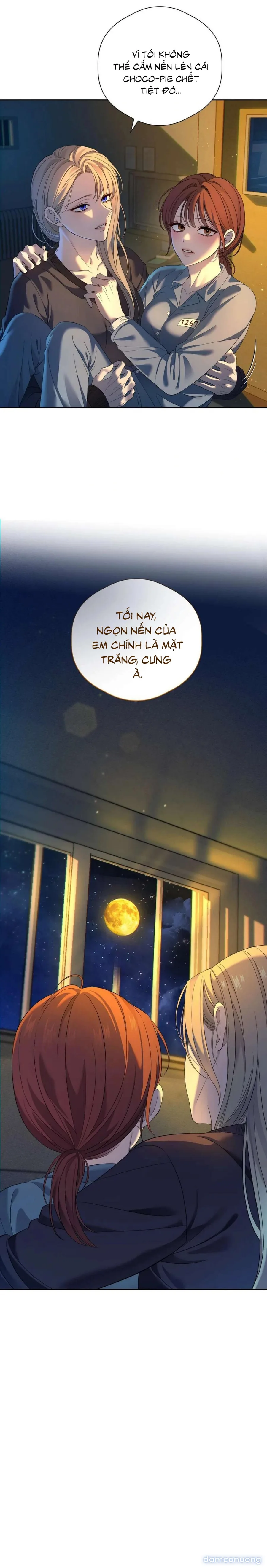 Tình Yêu Méo Mó 
