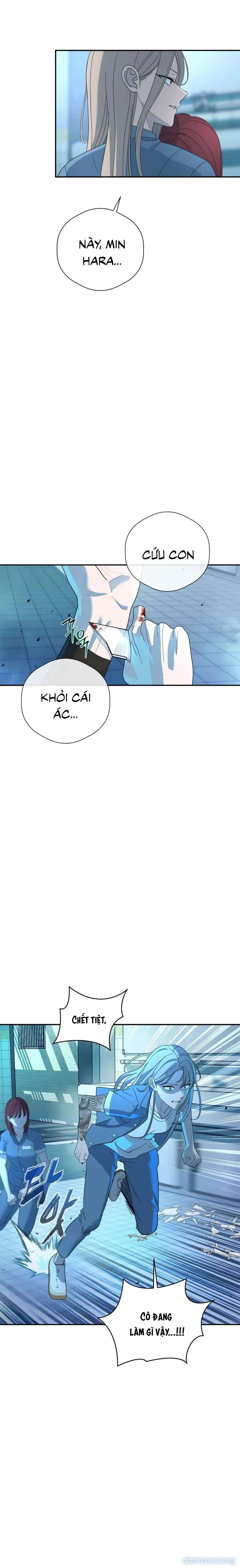 Tình Yêu Méo Mó 