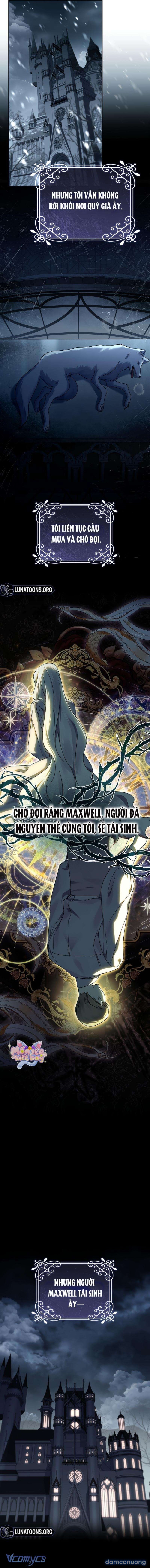 [18+] Tôi Đang Tìm Con Sói Đã Trêu Đùa Con Rắn Đen 