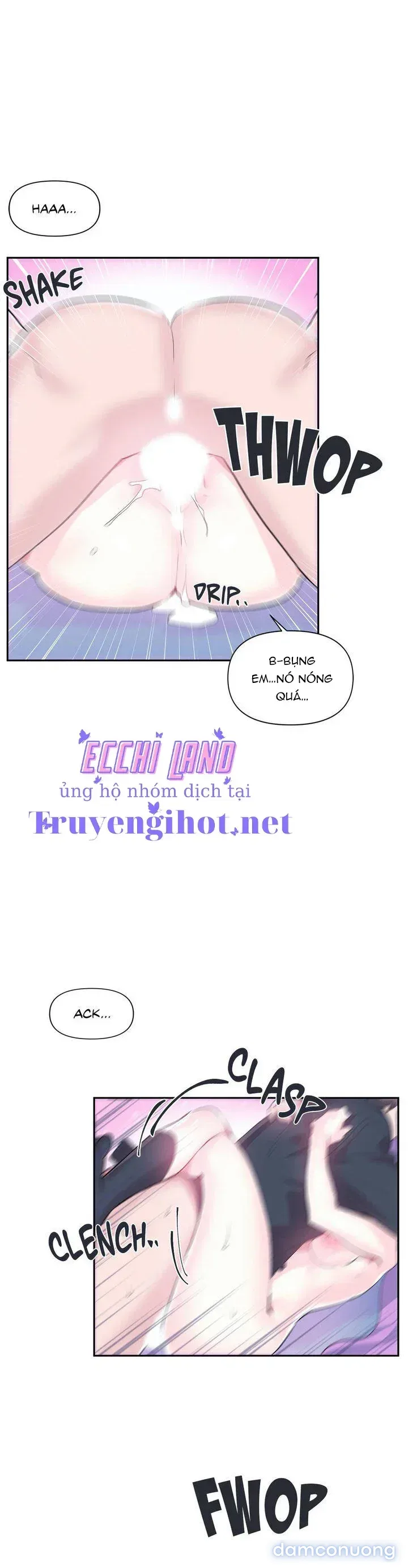 Khởi đầu cuộc phiêu lưu 