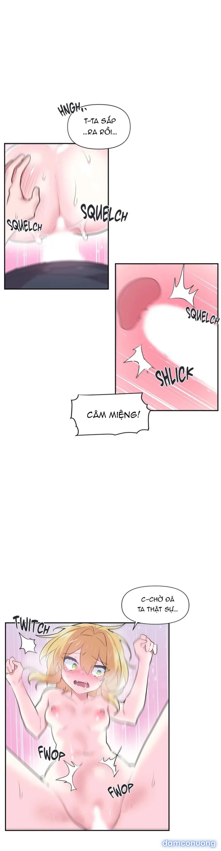 Khởi đầu cuộc phiêu lưu 