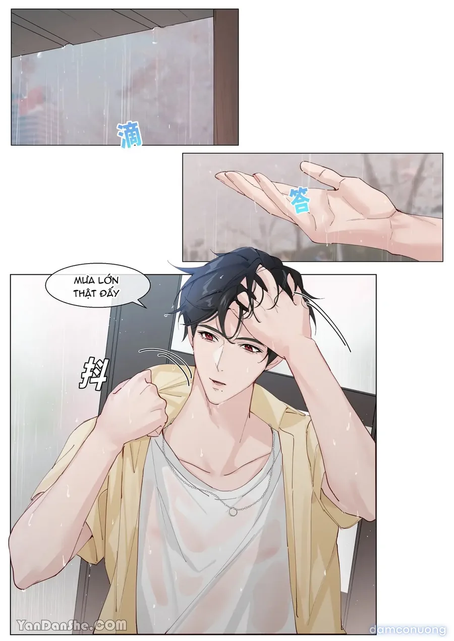 0.1% Về Tình yêu 