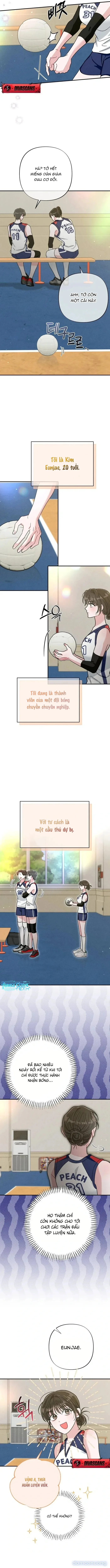 Số Phận An Bài Phải Ở Bên Người Bạn Thanh Mai Trúc Mã 